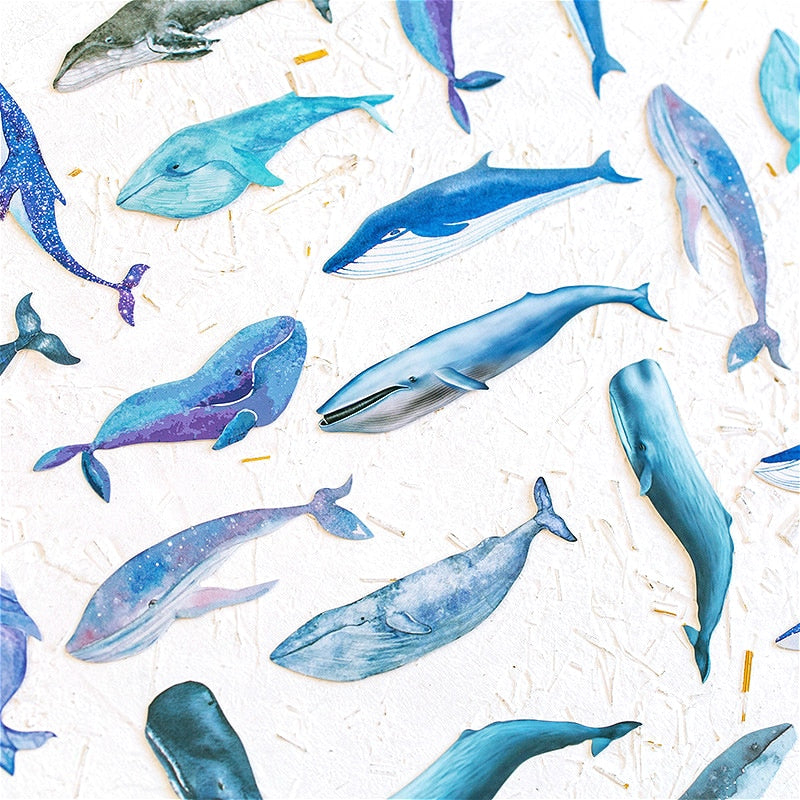 30 Pcs Blue Whale Paper Cards