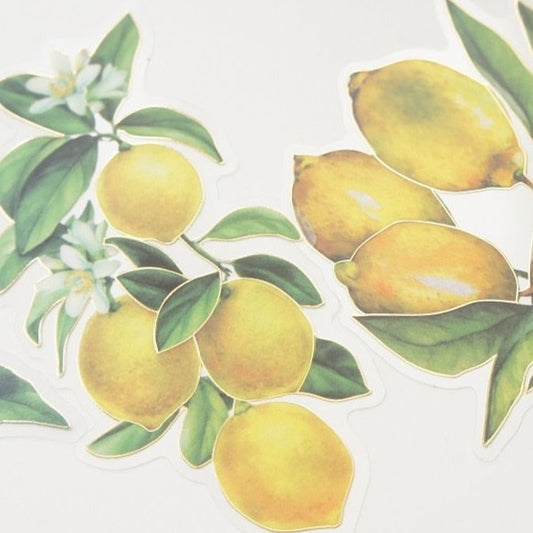 10 Pcs Lemon Tree PVC Transparent Stickers