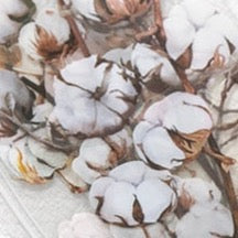 11 Pcs/Pack Floral Transparent Stickers