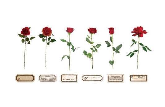 12 Pcs/Pack Rose & Daisy Flowers Stickers
