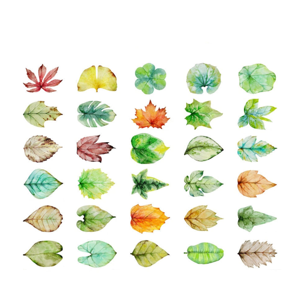 30 Pcs Leaf Shape Letter Paper Postcards